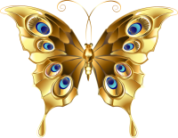 a gold butterfly